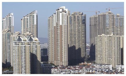 房市將迎來5大變革 2025年購房前須知的關(guān)鍵趨勢|文旅新房源的想象力在后疫情時代迸發(fā)
