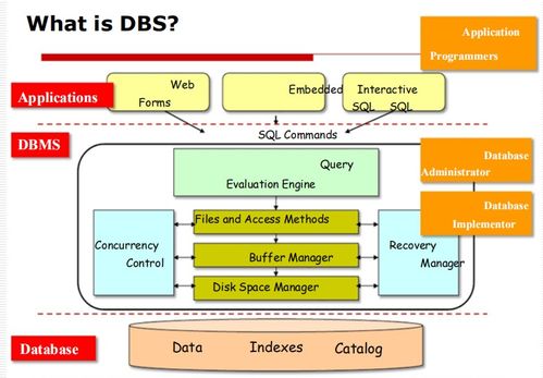 數(shù)據(jù)庫(kù)管理系統(tǒng)（DBMS）入門(mén) 基礎(chǔ)概念、目標(biāo)與應(yīng)用