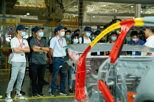 探訪完肇慶工廠，小鵬和特斯拉、蔚來、理想的車主怎么看P7？——申夢汽車視角